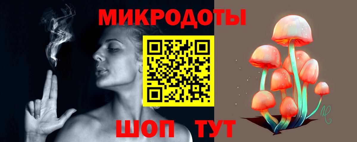 Псилоцибиновые грибы Cubensis Ликино-Дулёво